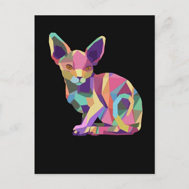 Sphynx Cat Gifts For Women And Men Sphynx Cat Postcard (Front)