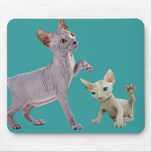 Sphynx Cat Mousepads