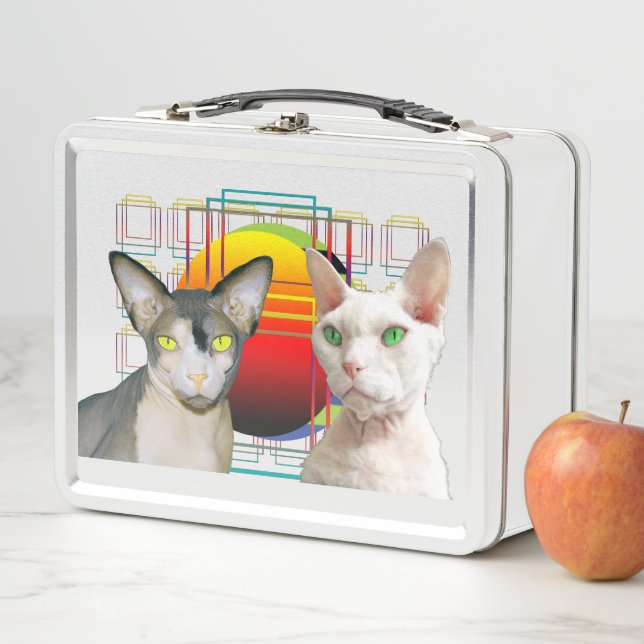Sphynx Cat Ninja Devon Rex Casper Metal Lunch Box (In Situ)
