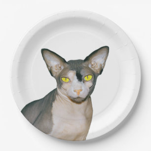 Sphynx Cat Ninja Rex Cats Cat Party white Paper Plate