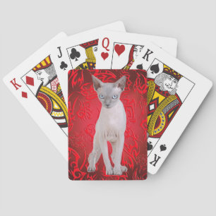 Sphynx cat playing cards