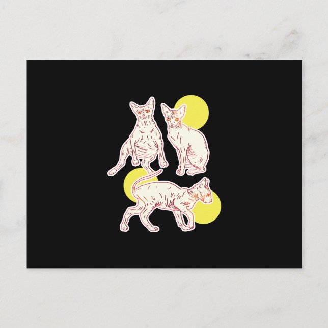 Sphynx Cat Postcard (Front)