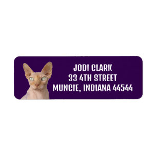 SPHYNX CAT RETURN ADDRESS big LABELS