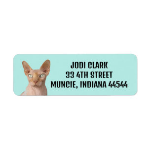 SPHYNX CAT RETURN ADDRESS LABELS