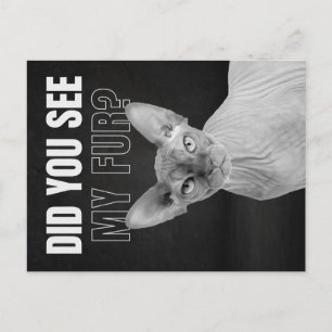 Sphynx Cat Sarcastic Fur Humor Illustration Holiday Postcard