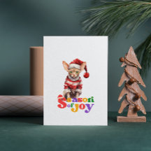 Sphynx Cat Season of Joy Christmas Greeting