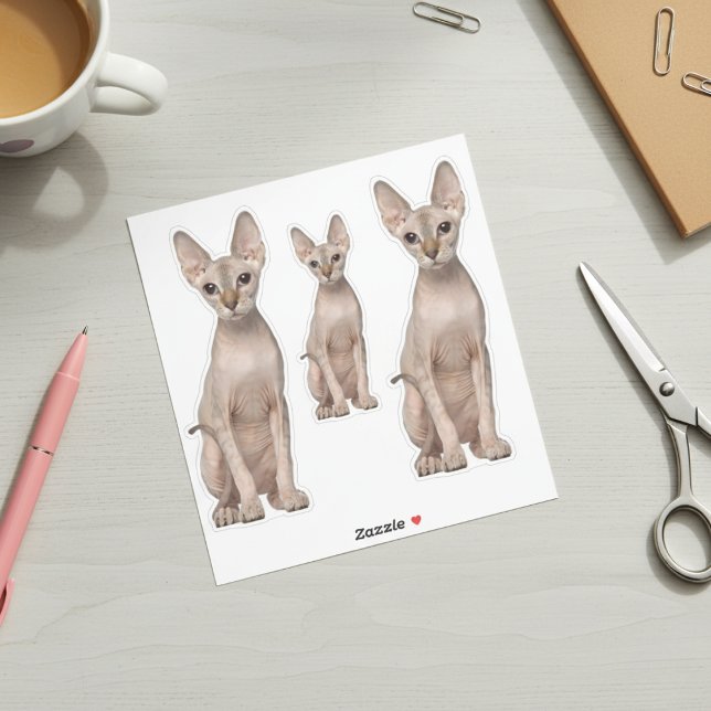 Sphynx Cat Stickers (Sphynx Cat Stickers)