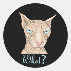 Sphynx Cat. What? Classic Round Sticker