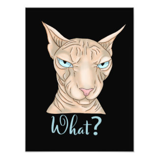 Sphynx Cat. What?  Photo Print