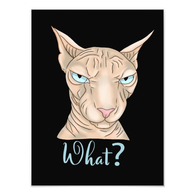 Sphynx Cat. What?  Photo Print (Front)
