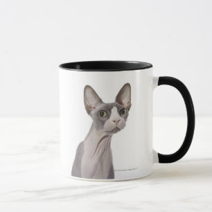 Sphynx Cat with surprised expression Mug