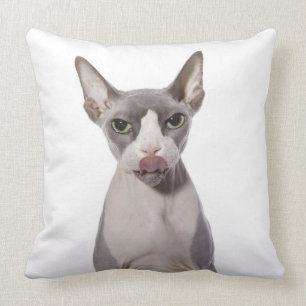 Sphynx Cat with tongue out Cushion