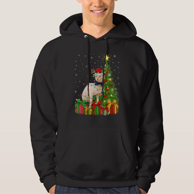 Sphynx Cat   Xmas Lights Santa Sphynx Cat Christma Hoodie (Front)