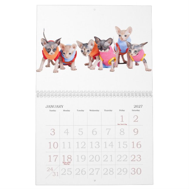 Sphynx Cats Wall Calendar | GoSphynx.com (Jan 2027)