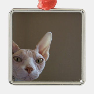 Sphynx Hairless Cat Mini Frame Ornament