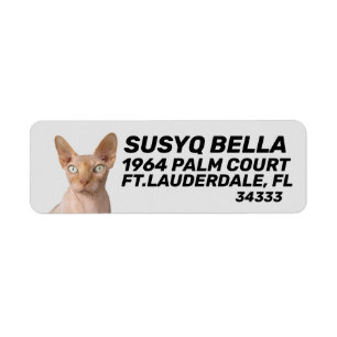 SPHYNX HAIRLESS CAT RETURN ADDRESS LABELS