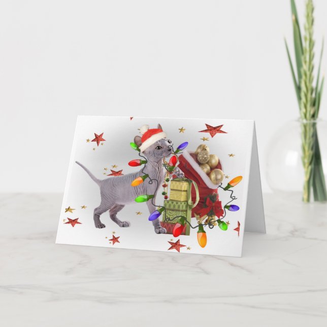 Sphynx Kitten Plays With Christmas Ornamants Cards (Front)