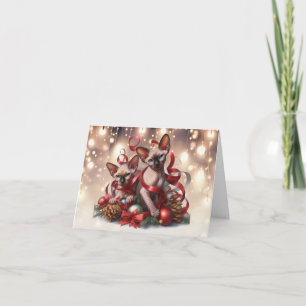 Sphynx Kittens Christmas Card