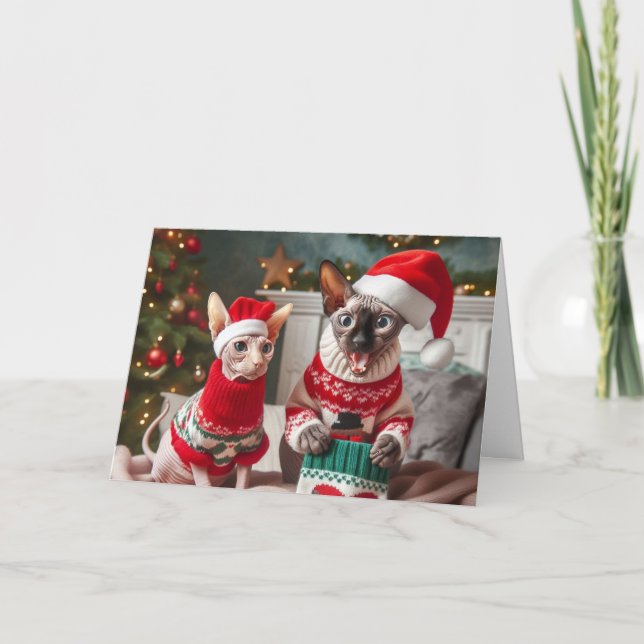 Sphynx Kittens Funny Christmas Holiday Card (Front)