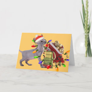 Sphynx Merry Christmas Cards