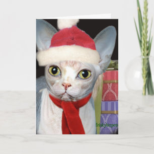 Sphynx Santa Cat Holiday Card