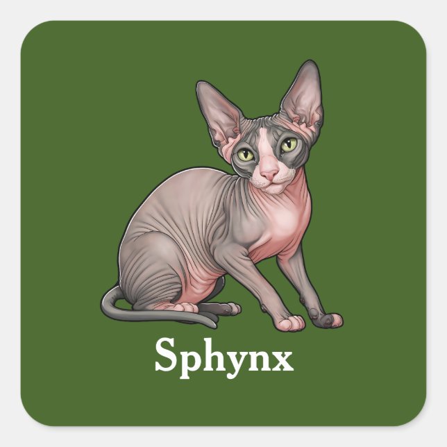 Sphynx Square Sticker (Front)