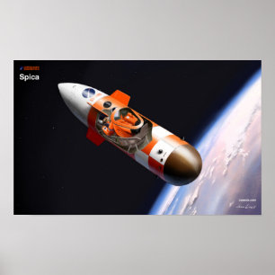 Spica capsule cutaway poster