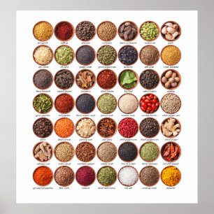 Spice Chart Poster - SRF