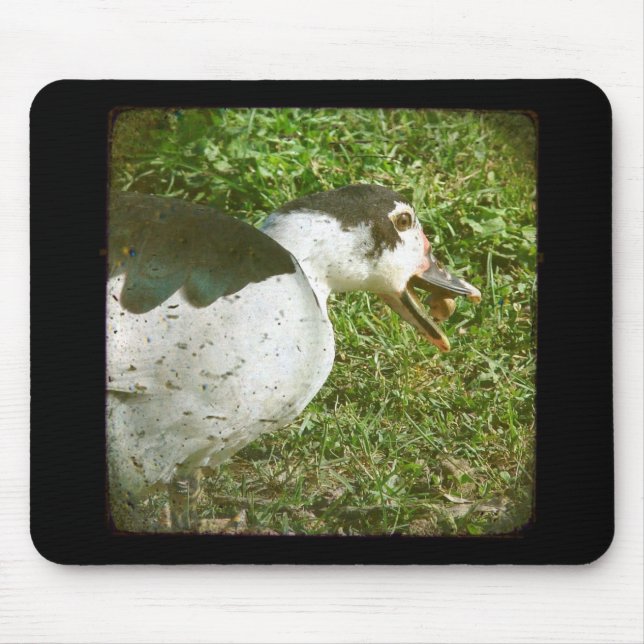Spice Eats an Acorn Mouse Pad (Front)