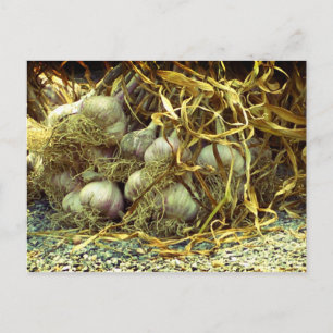 Spice it postcard