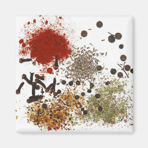 Spice of Life Magnet