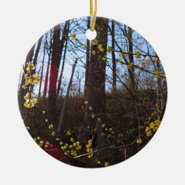 Spicebush Flowers in Spring Ceramic Ornament (Front)