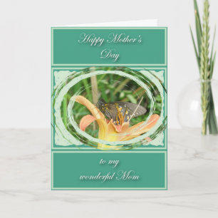 Spicebush Swallowtail Butterfly Mother's Day Card