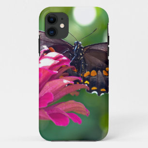 Spicebush Swallowtail iPhone 11 Case