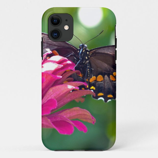 Spicebush Swallowtail Case-Mate iPhone Case (Back)