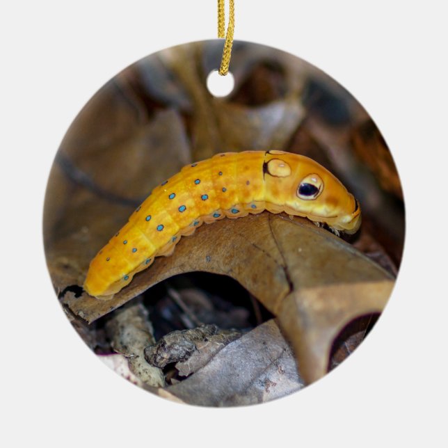 Spicebush Swallowtail Caterpillar Ornament (Front)