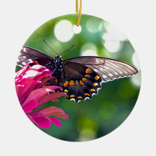 Spicebush Swallowtail Ceramic Ornament (Front)