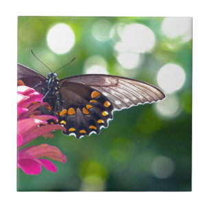 Spicebush Swallowtail Ceramic Tile