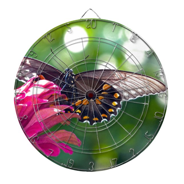Spicebush Swallowtail Dartboard (Front)