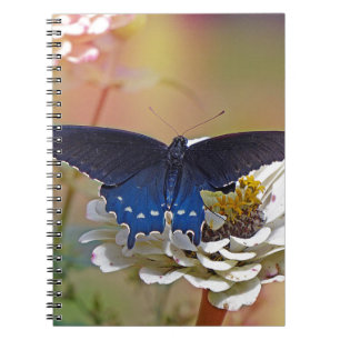 Spicebush Swallowtail Notebook