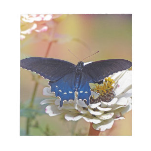 Spicebush Swallowtail Notepad