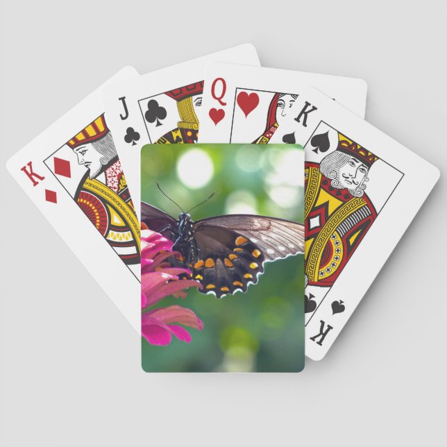 Spicebush Swallowtail Playing Cards (Back)