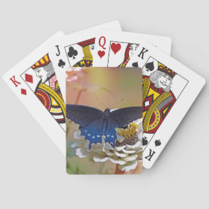 Spicebush Swallowtail Playing Cards