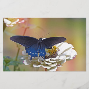 Spicebush Swallowtail Stationery