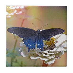 Spicebush Swallowtail Tile
