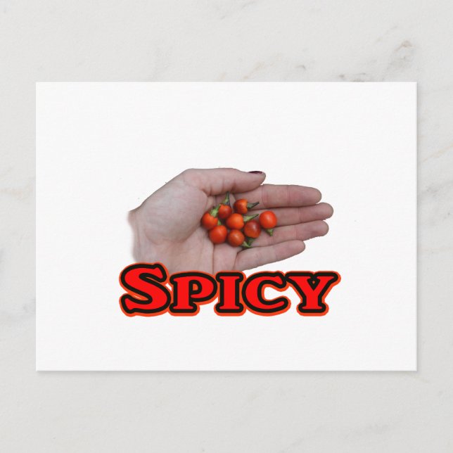 Spicy Cascabel Hot Pepper Design Postcard (Front)