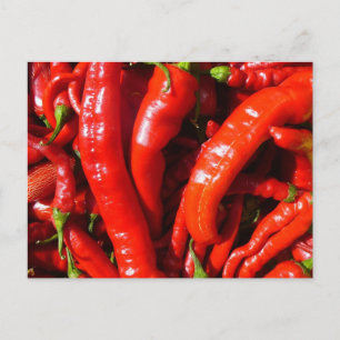 Spicy! Postcard