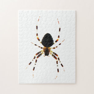 Spider 11x14 252pc jpcna jigsaw puzzle