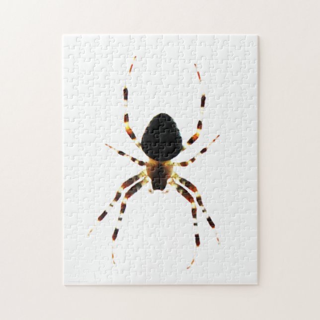 Spider 11x14 252pc jpcna jigsaw puzzle (Vertical)