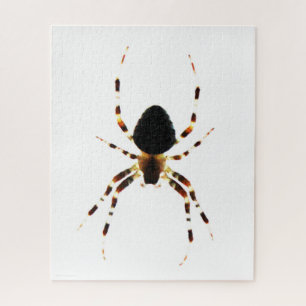 Spider 16x20 520pc jpcnm jigsaw puzzle
